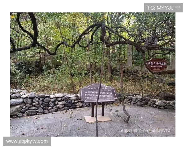 开云官网登录流程详解,帮助用户快速完成注册与登录操作 开云官网登录流程详解,帮助用户快速完成注册与登录操作