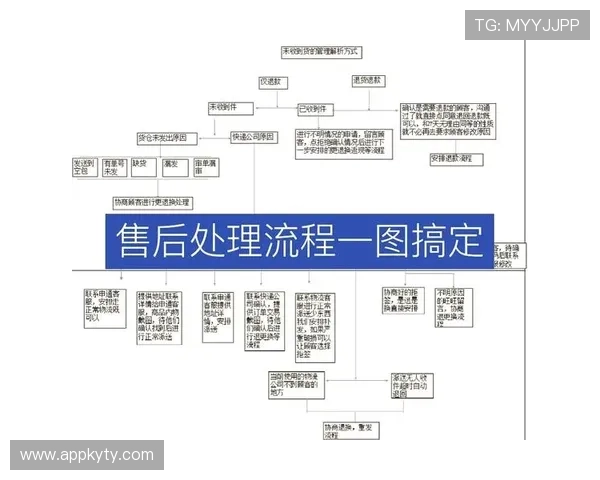 开云网站物流配送流程及售后服务政策全面解析