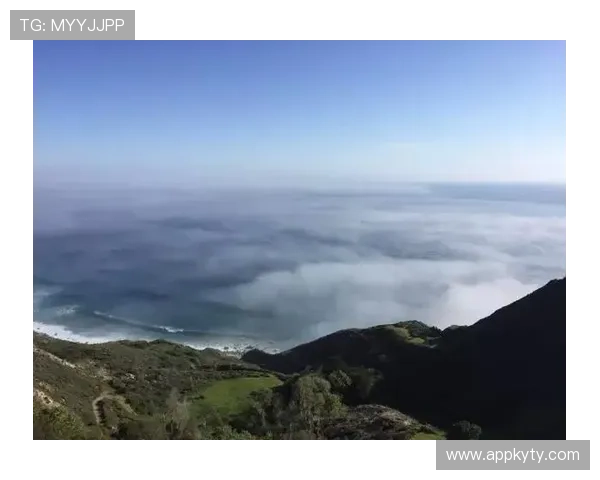 畅游开云官方网站入口导航，探索无限可能的新体验