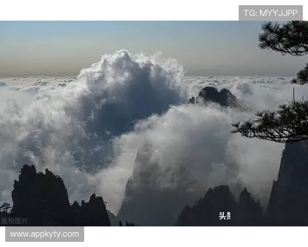 通过开云真人版看现代影片对经典文化的改编