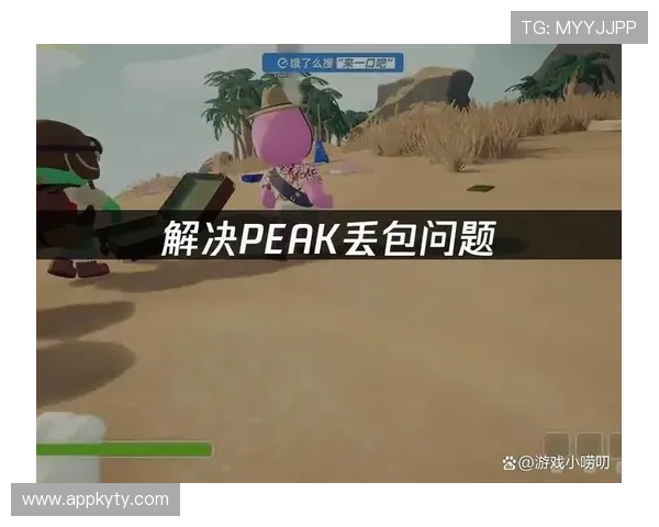 开云ping工具的详细使用方法与操作步骤指南帮助玩家提升网络连接稳定性